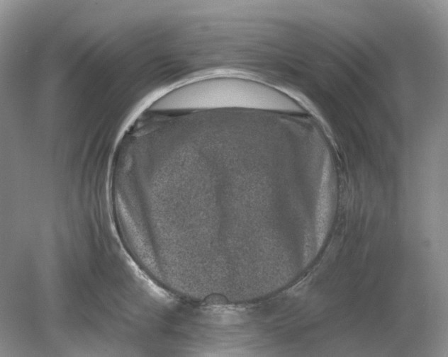 X0000078860910200612041929