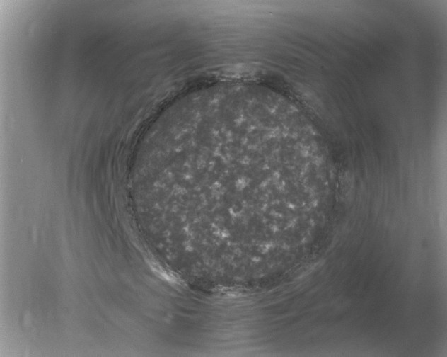 X0000078860913200612041928