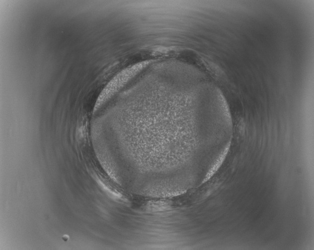 X0000078860914200612041928