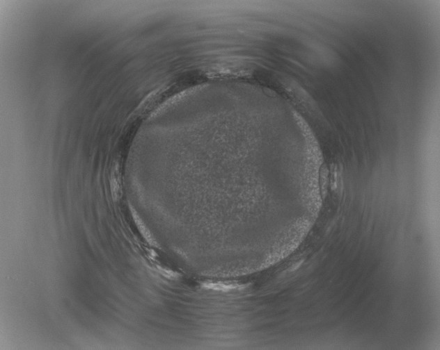 X0000078860915200612041928