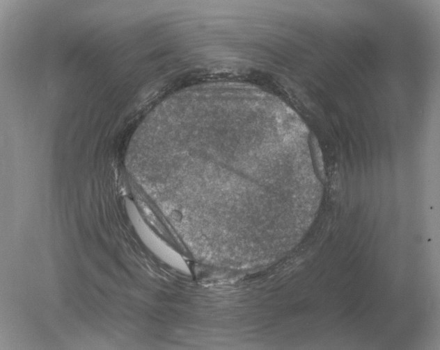 X0000078860916200612041928