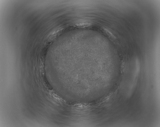 X0000078860917200612041928