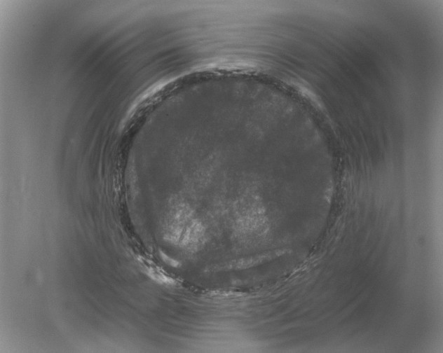 X0000078860920200612041928