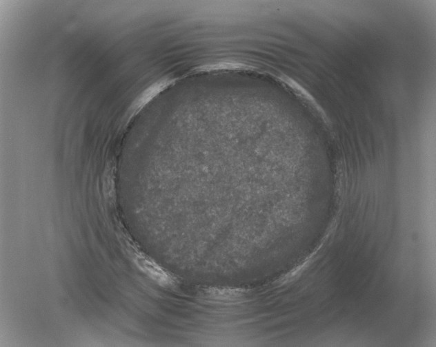 X0000078860921200612041928