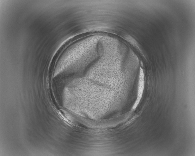 X0000078860924200612041928