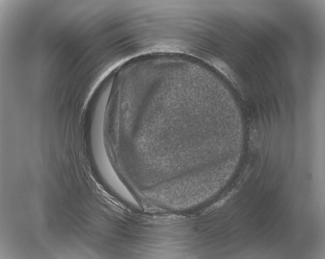 X0000078860926200612041928