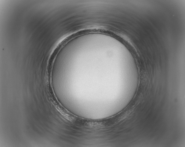 X0000078860927200612041928