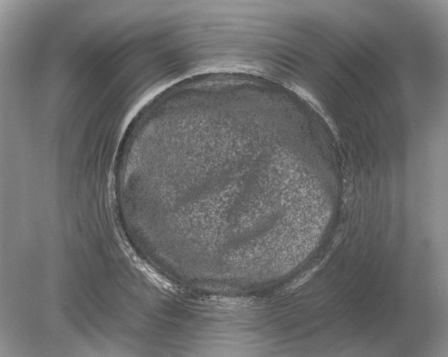 X0000078860928200612041928