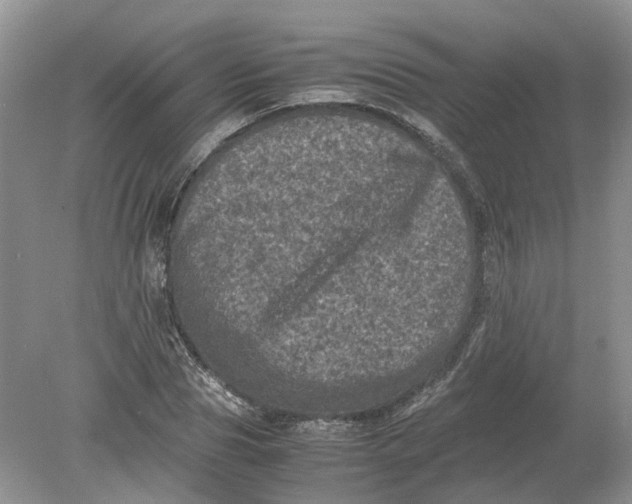 X0000078860929200612041928