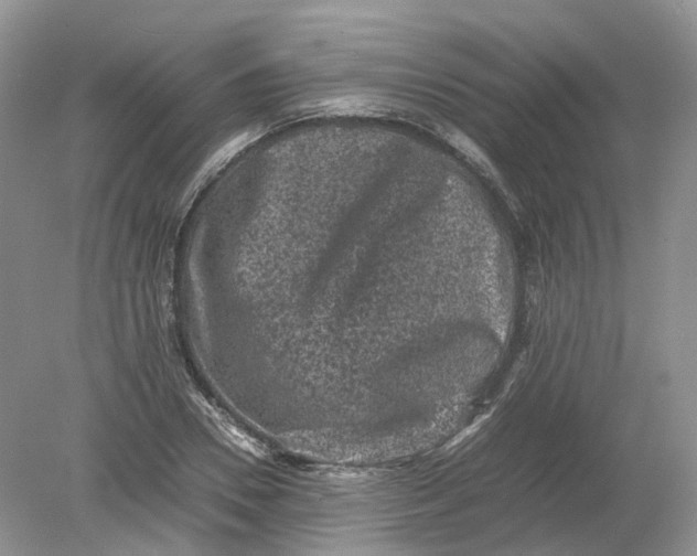 X0000078860930200612041928