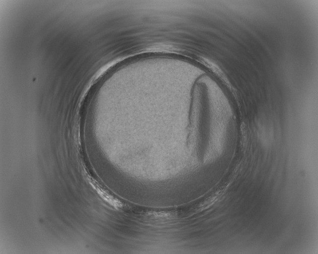 X0000078860931200612041928