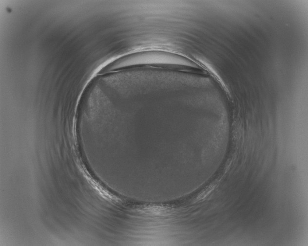 X0000078860932200612041928