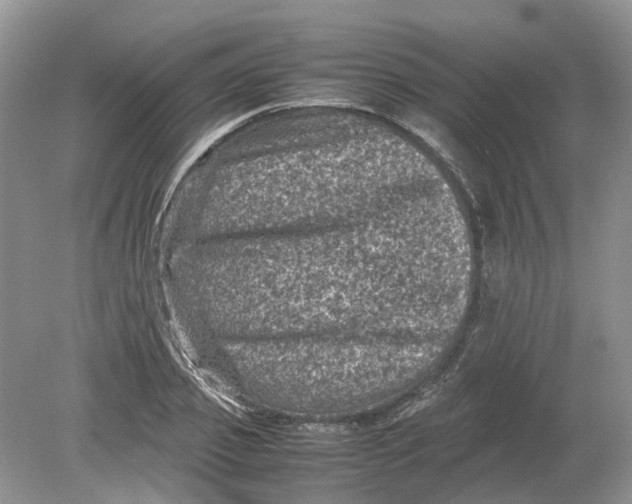 X0000078860933200612041928