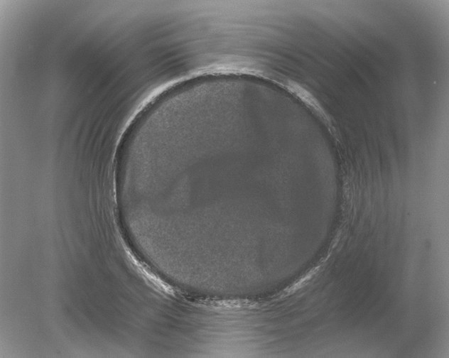 X0000078860934200612041928