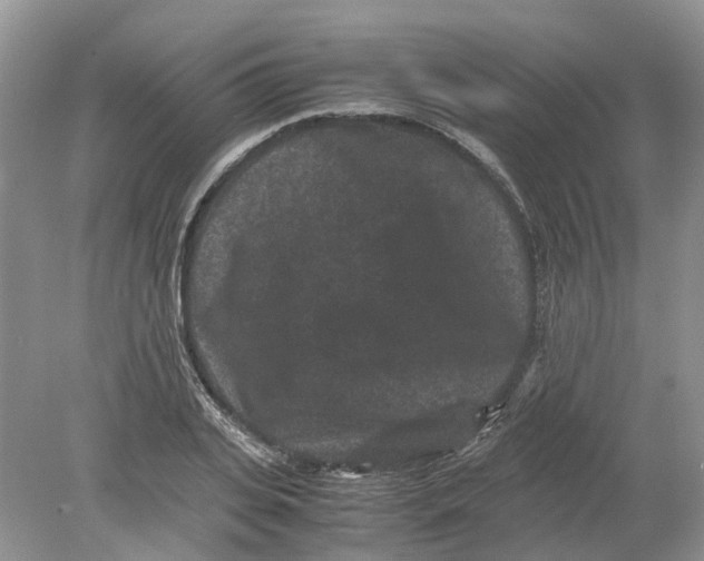 X0000078860935200612041928