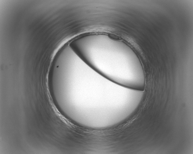 X0000078860936200612041928