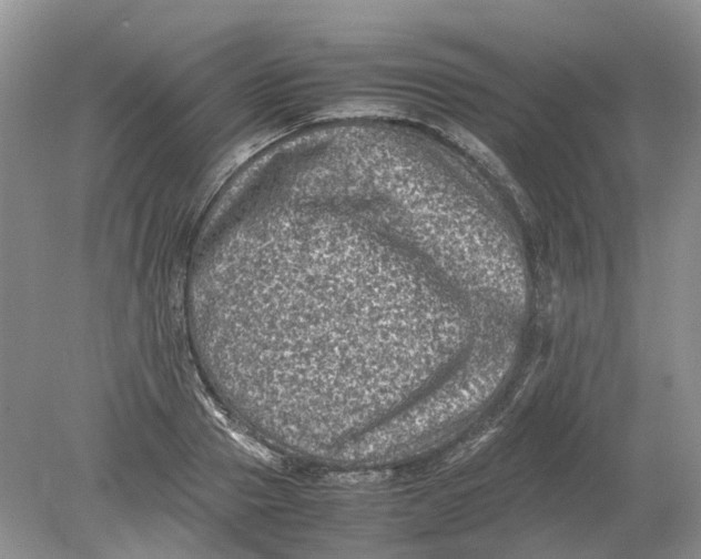 X0000078860937200612041928