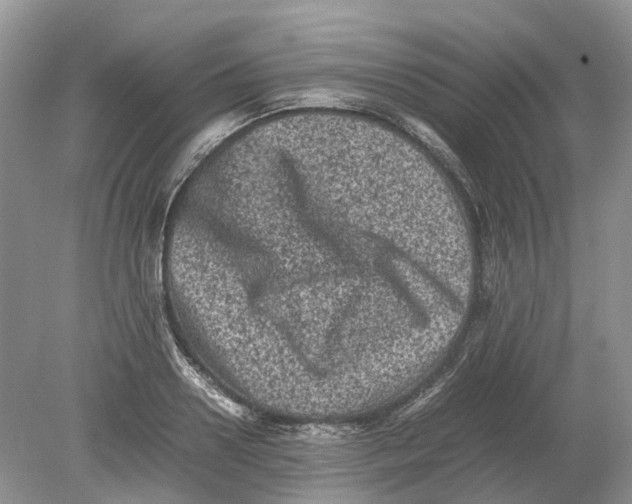 X0000078860938200612041928