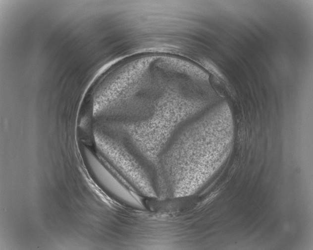 X0000078860940200612041928