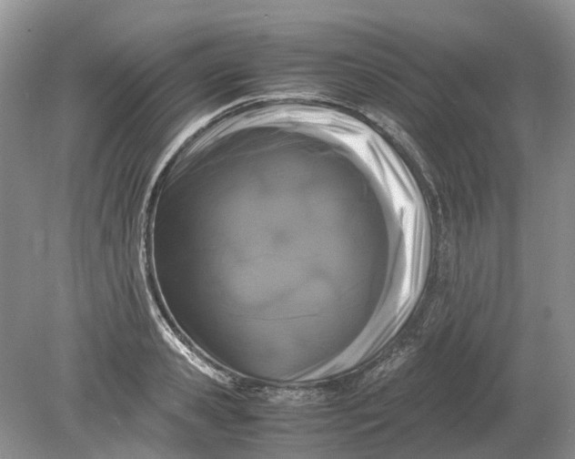 X0000078860941200612041928