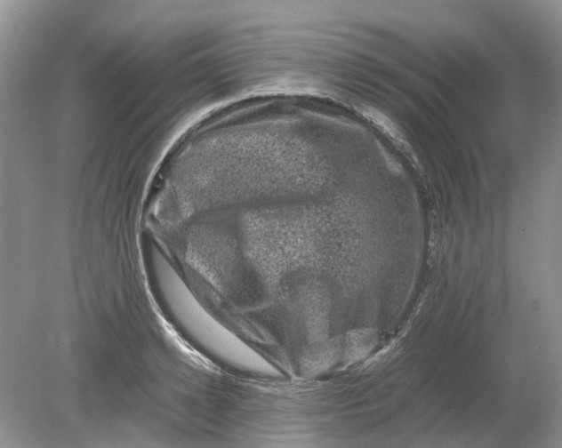 X0000078860942200612041928