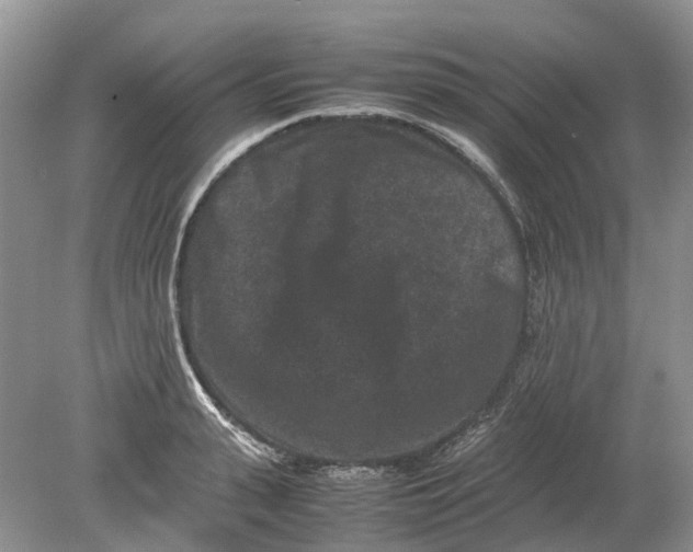 X0000078860943200612041928