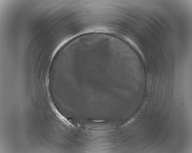 X0000078860944200612041928