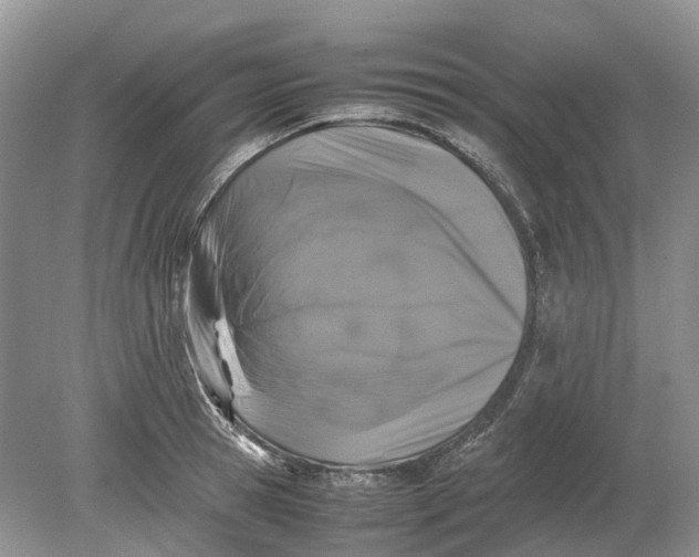 X0000078860945200612041928