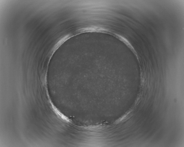 X0000078860946200612041928