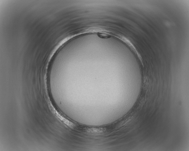 X0000078860947200612041928