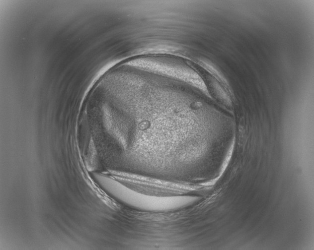 X0000078860948200612041928