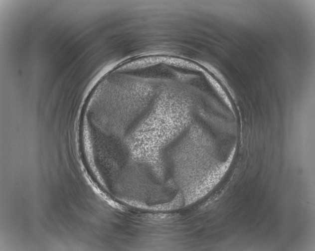 X0000078860949200612041928