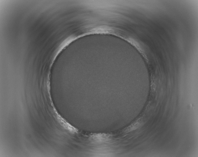 X0000078860950200612041928