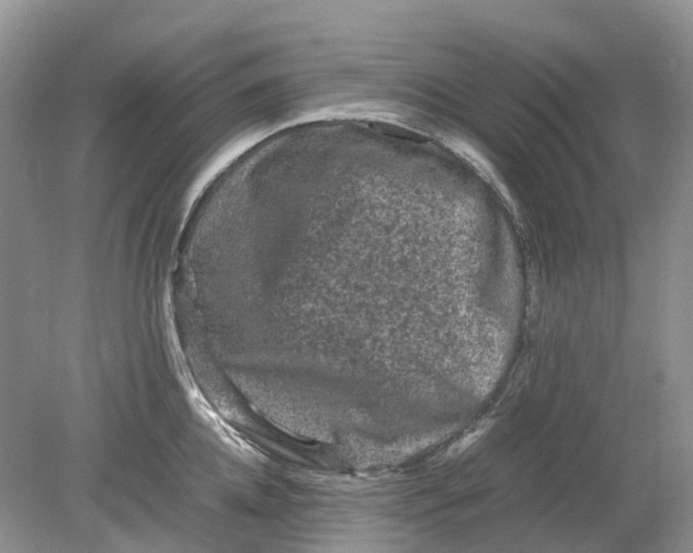 X0000078860952200612041929