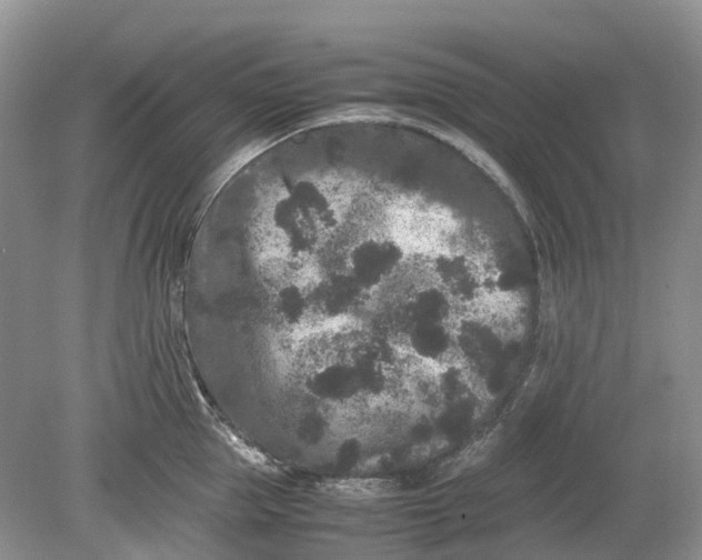 X0000078860953200612041929