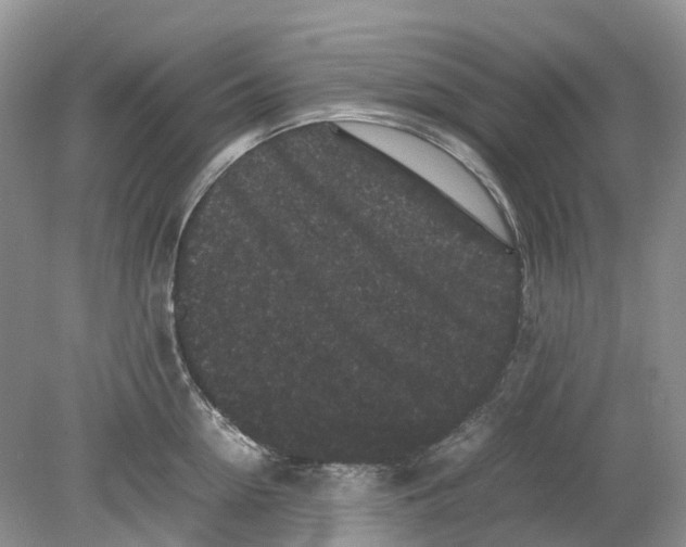 X0000078860954200612041929