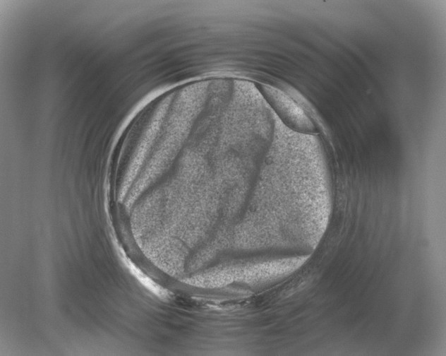 X0000078860955200612041929