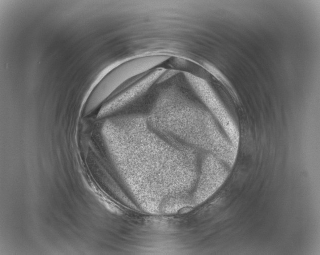 X0000078860956200612041929