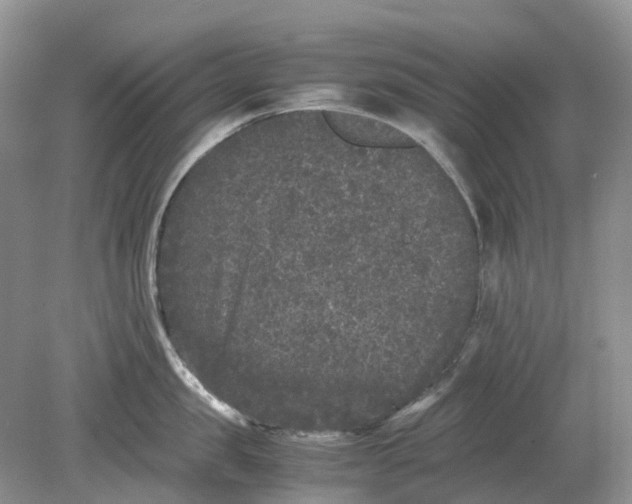 X0000078860957200612041929