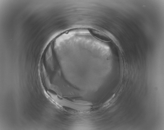 X0000078860958200612041929