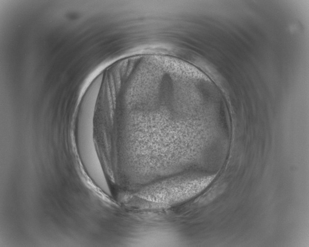 X0000078860960200612041929