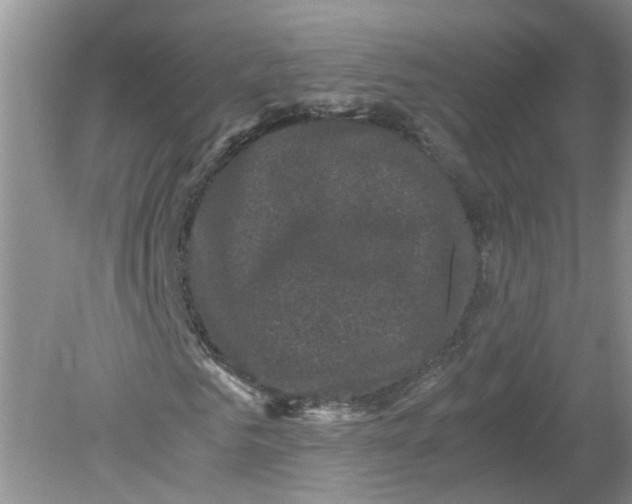 X0000078860961200612041928