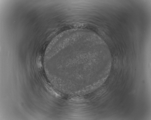 X0000078860962200612041928