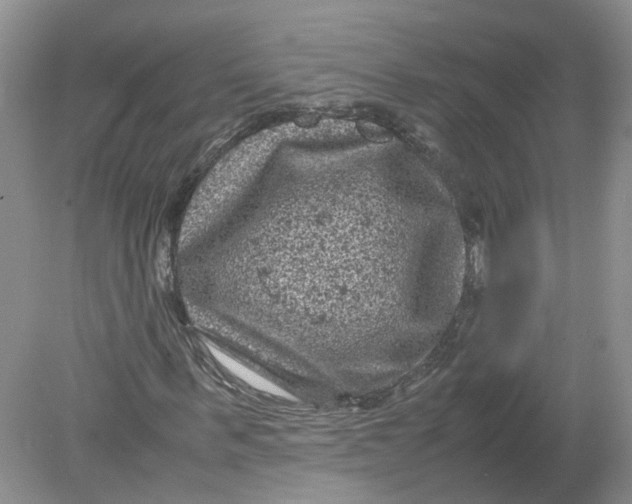 X0000078860963200612041928