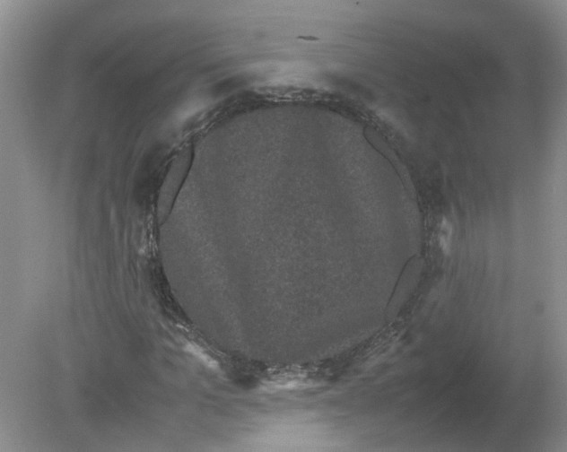 X0000078860965200612041928