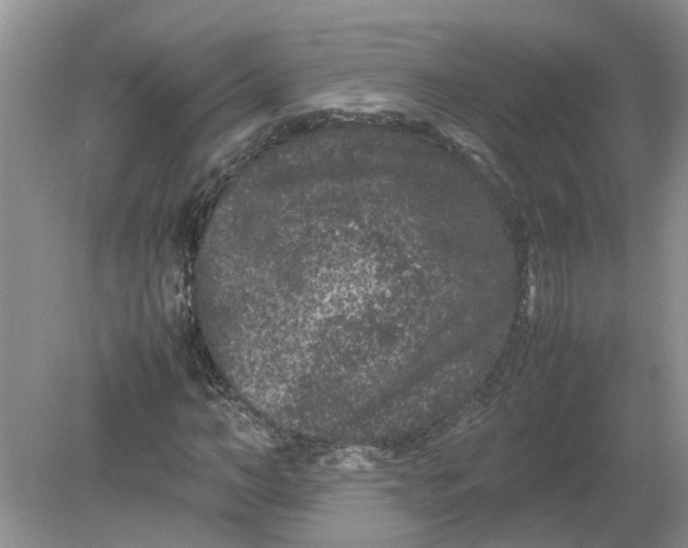 X0000078860966200612041928