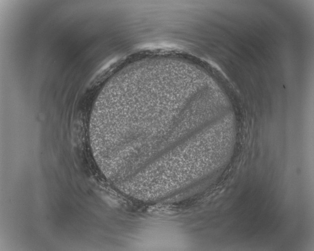 X0000078860967200612041928