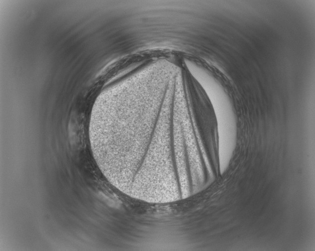 X0000078860968200612041928