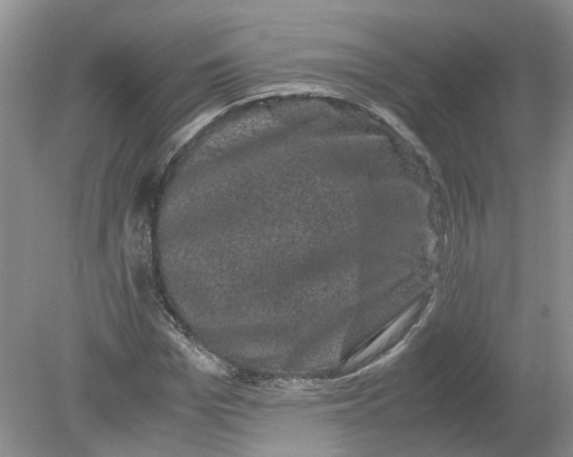 X0000078860969200612041928