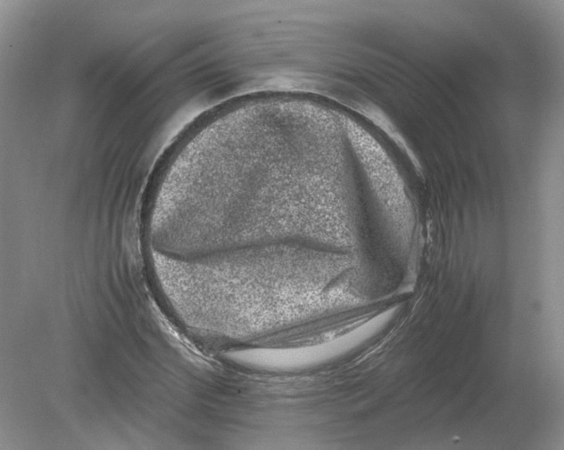 X0000078860972200612041928